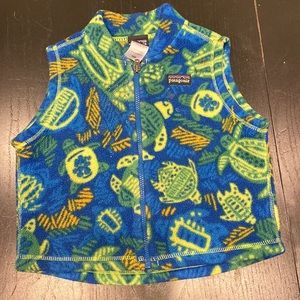 Patagonia Synchilla Fleece Vest